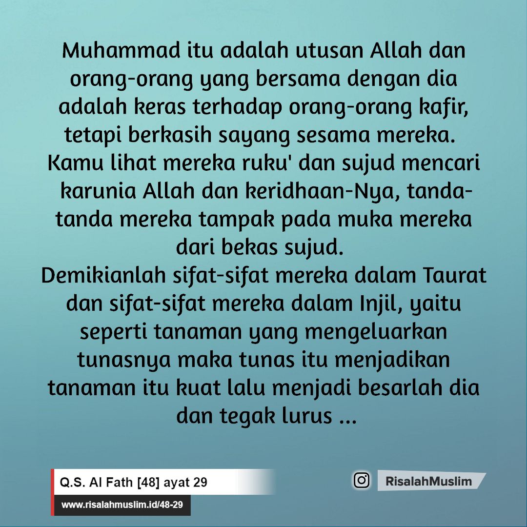 Detail Surat Al Fath Ayat 28 29 Nomer 21