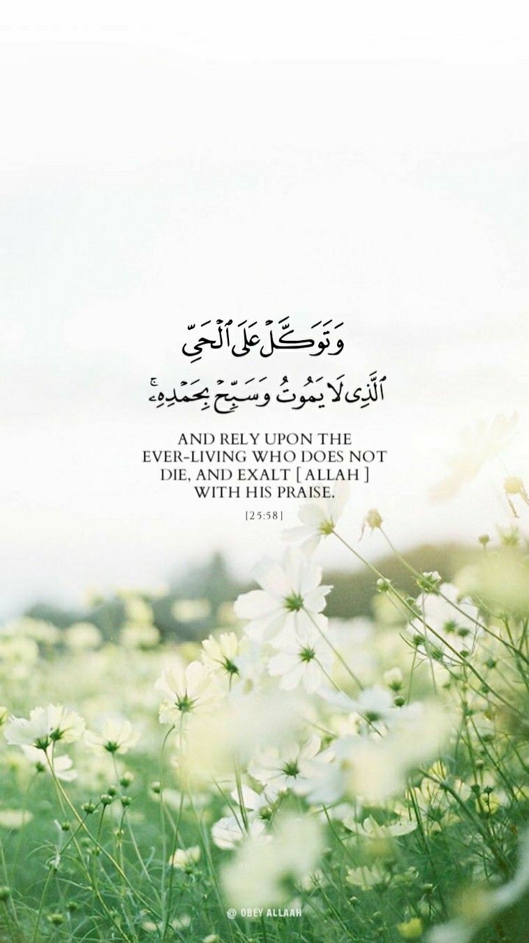 Surat Al Furqan Ayat 58 - KibrisPDR