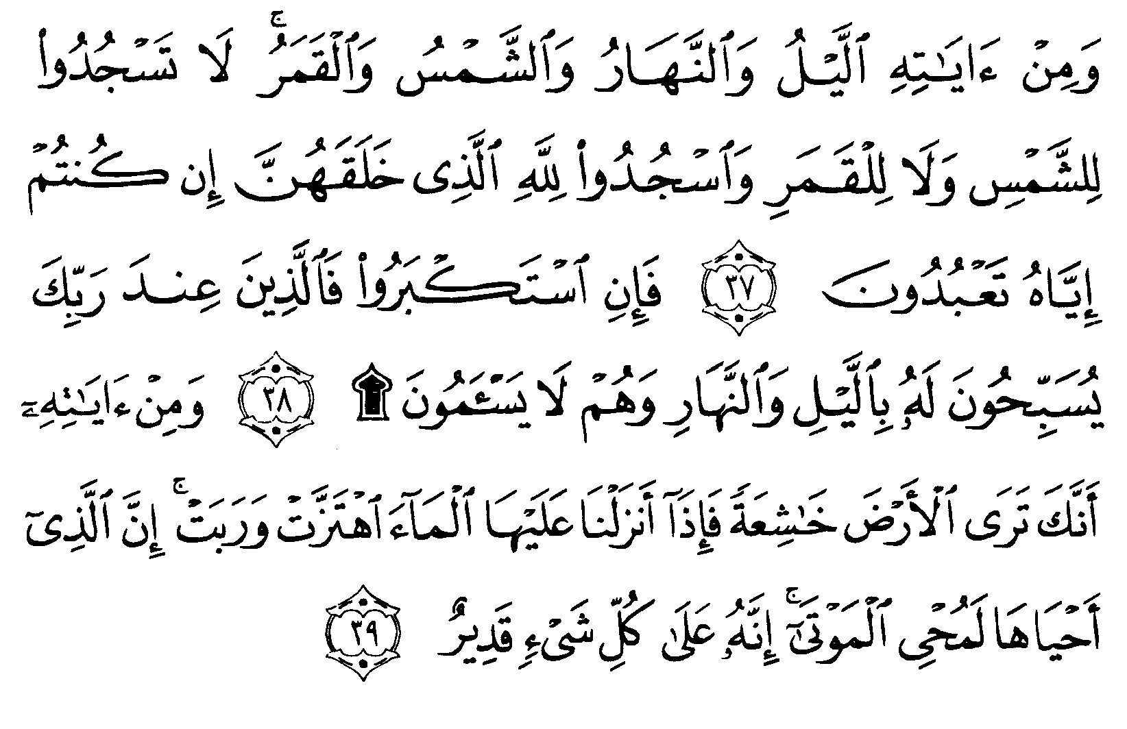 Detail Surat Al Fushilat Ayat 30 Nomer 21