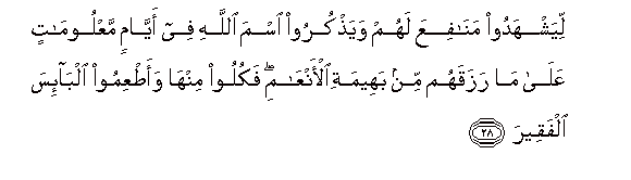 Detail Surat Al Hajj Ayat 22 Nomer 14