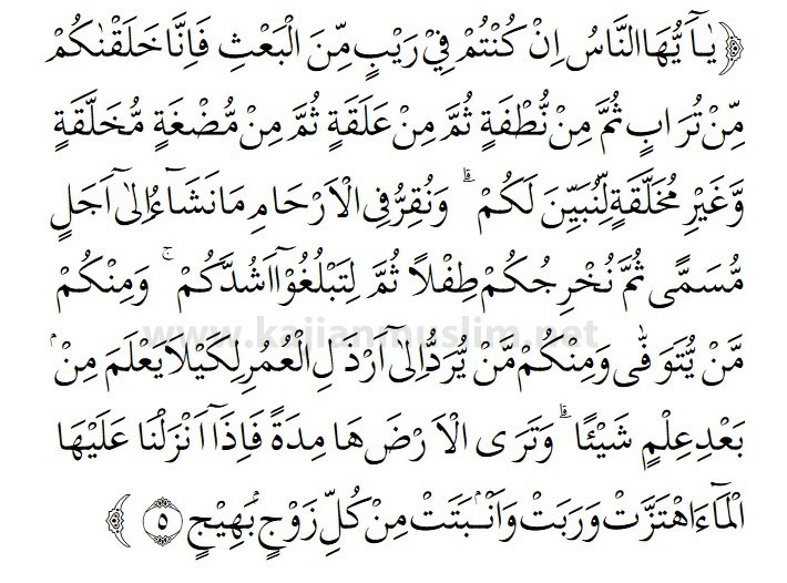 Detail Surat Al Hajj Ayat 22 Nomer 22