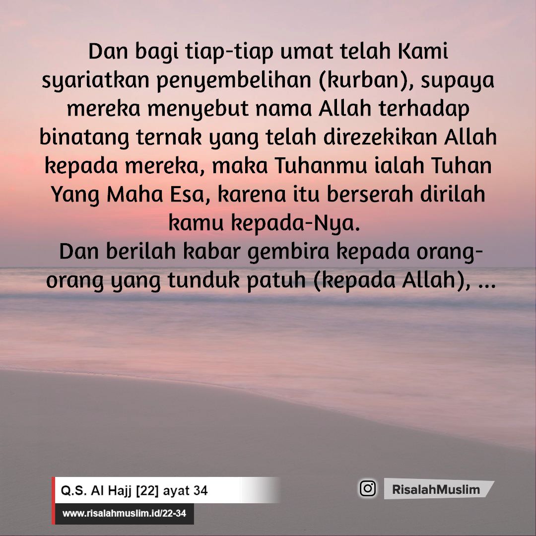 Detail Surat Al Hajj Ayat 36 Nomer 33