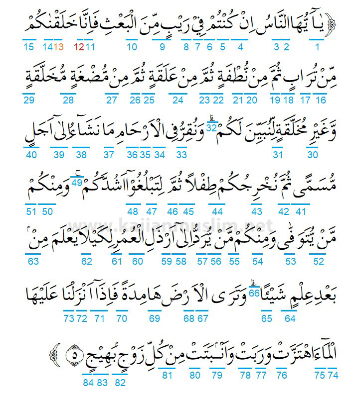 Detail Surat Al Hajj Ayat 36 Nomer 34