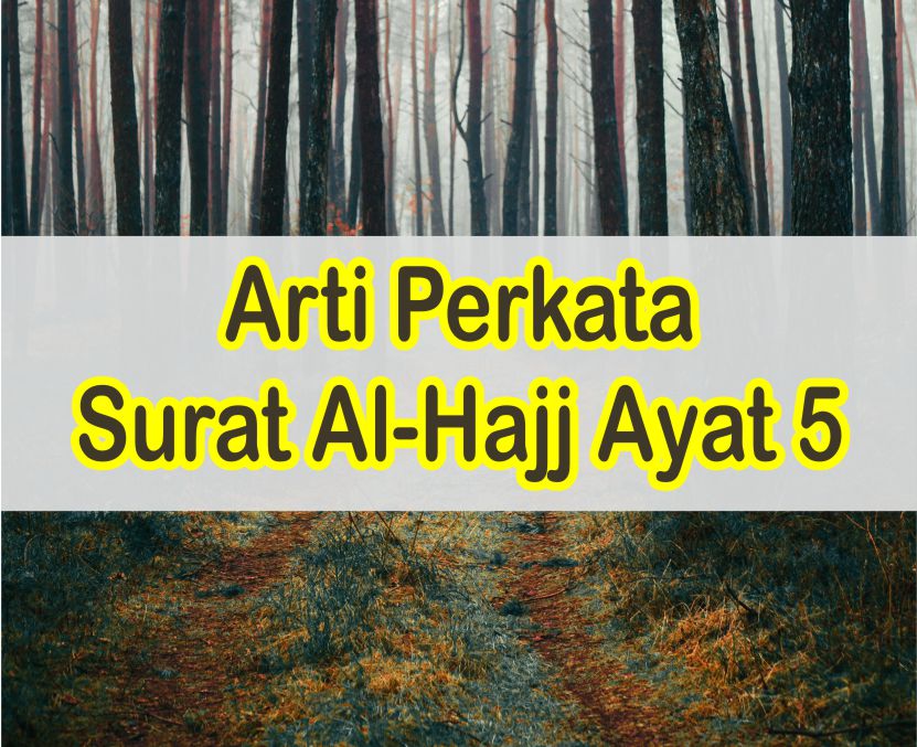 Detail Surat Al Hajj Ayat 36 Nomer 50