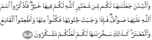 Detail Surat Al Hajj Ayat 36 Nomer 6