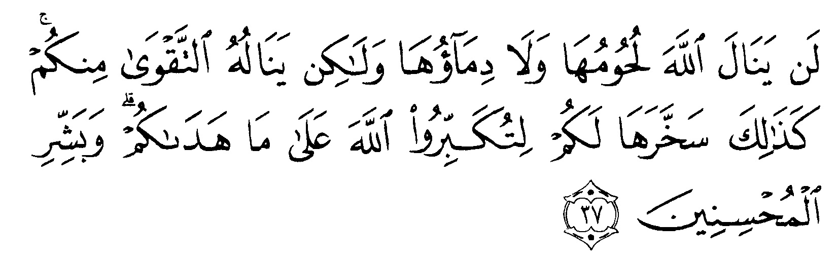 Detail Surat Al Hajj Ayat 36 Nomer 9