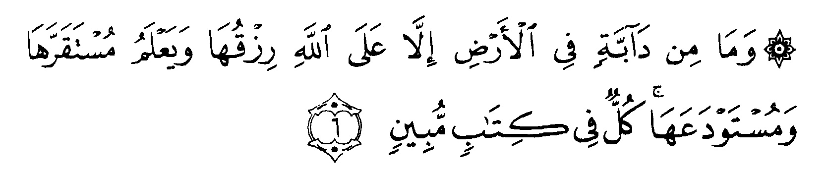 Detail Surat Al Hud Ayat 6 Nomer 19