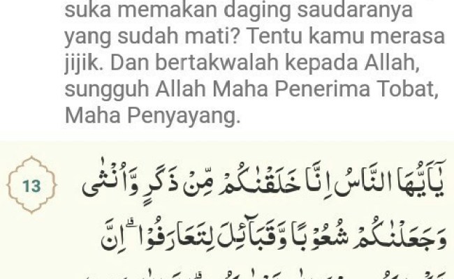 Detail Surat Al Hujurat Ayat 10 12 Latin Nomer 54