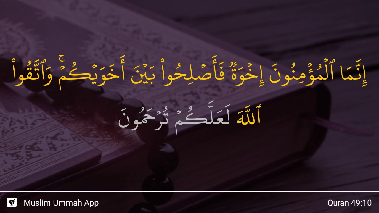 Detail Surat Al Hujurat Ayat 10 13 Nomer 25