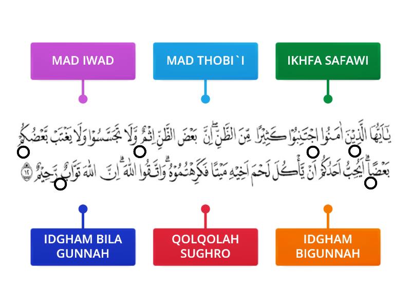 surat al hujurat ayat 12 sampai 13 dan artinya
