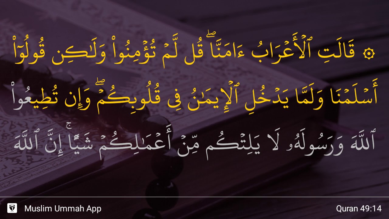 Detail Surat Al Hujurat Ayat 15 Nomer 8