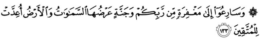 Detail Surat Al Imran Ayat 133 Nomer 43