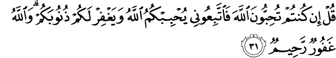 Detail Surat Al Imran Ayat 31 Nomer 18