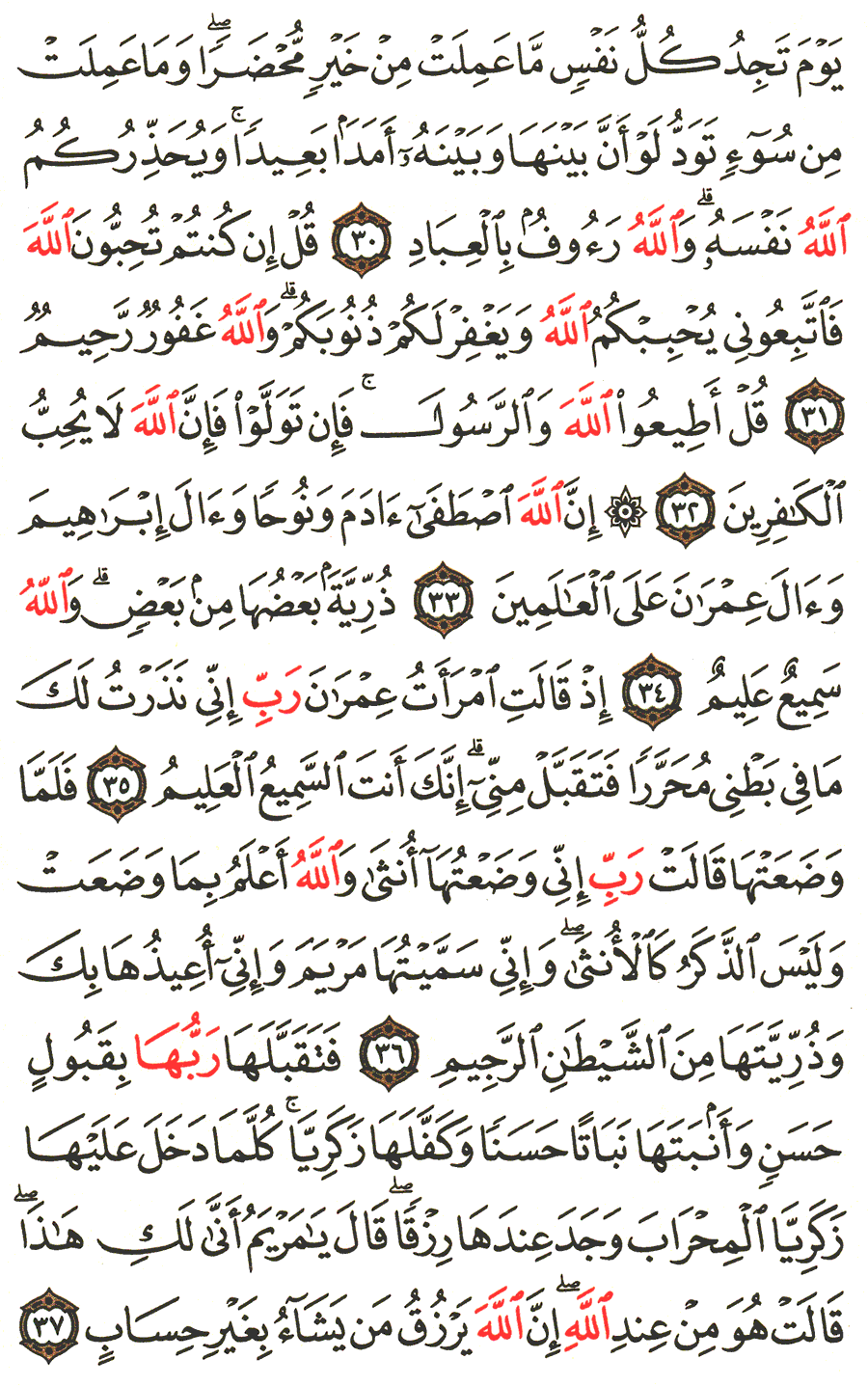 Detail Surat Al Imran Ayat 31 Nomer 43