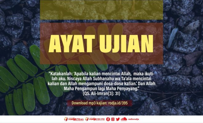 Detail Surat Al Imran Ayat 31 Nomer 46