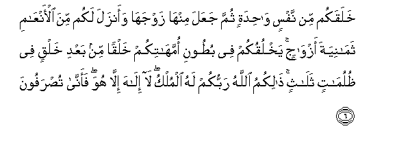 Detail Surat Al Infitar Ayat 6 Nomer 48