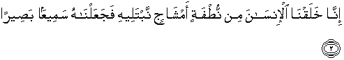 Detail Surat Al Insan Ayat 2 Nomer 11