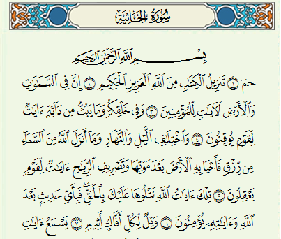 Detail Surat Al Jatsiyah Ayat 12 Nomer 23