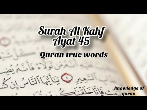 Detail Surat Al Kahfi Ayat 45 Nomer 14