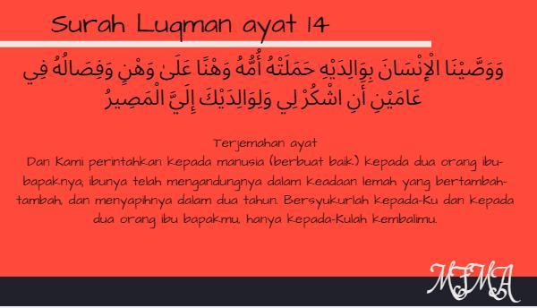 Detail Surat Al Luqman 13 14 Nomer 49