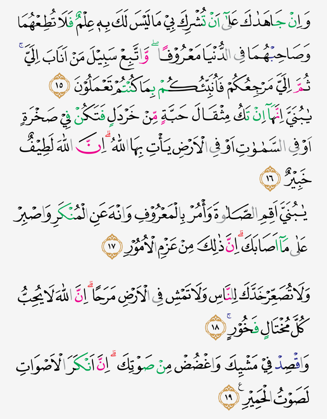 Detail Surat Al Luqman Ayat 12 13 Nomer 15