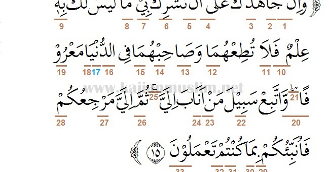 Detail Surat Al Luqman Ayat 12 13 Nomer 50