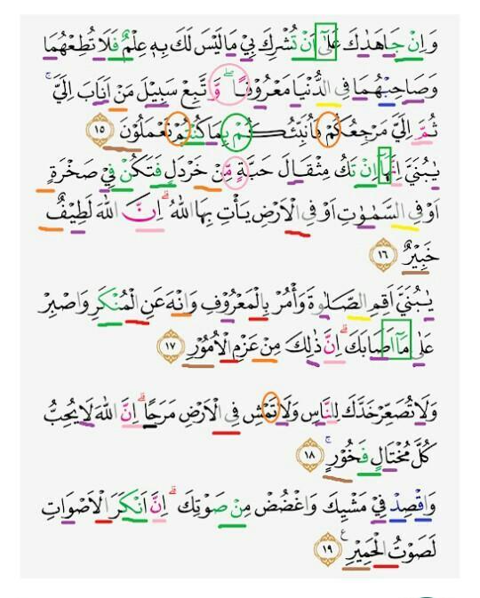 Detail Surat Al Luqman Ayat 12 Nomer 45