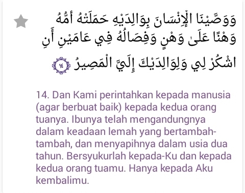 Detail Surat Al Luqman Ayat 14 Nomer 9