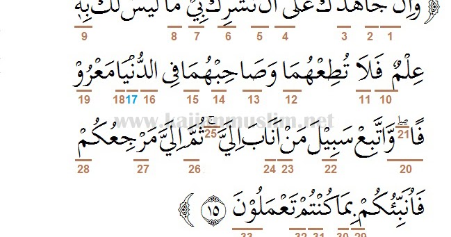 Detail Surat Al Luqman Ayat 14 Latin Nomer 23