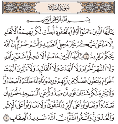 Detail Surat Al Maidah Ayat 132 Nomer 12