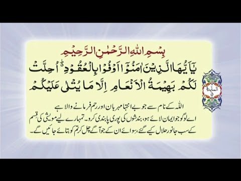 Detail Surat Al Maidah Ayat 44 Nomer 24