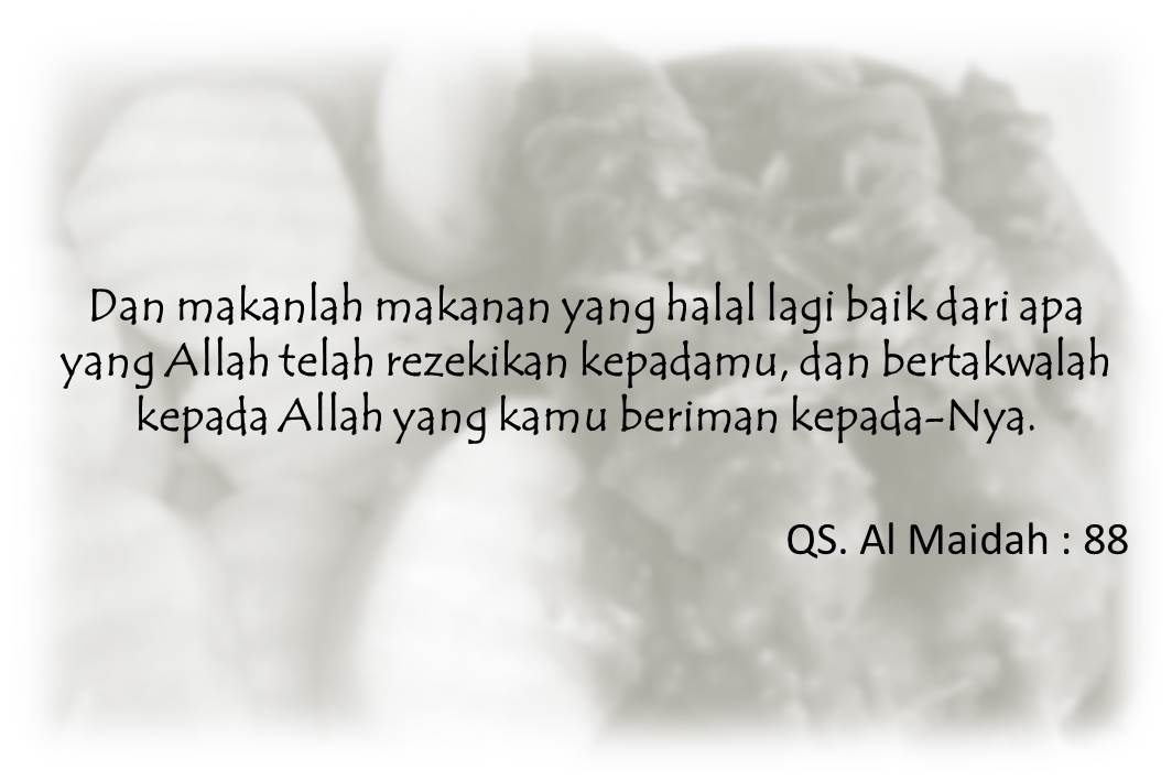 Detail Surat Al Maidah Ayat 88 Nomer 23