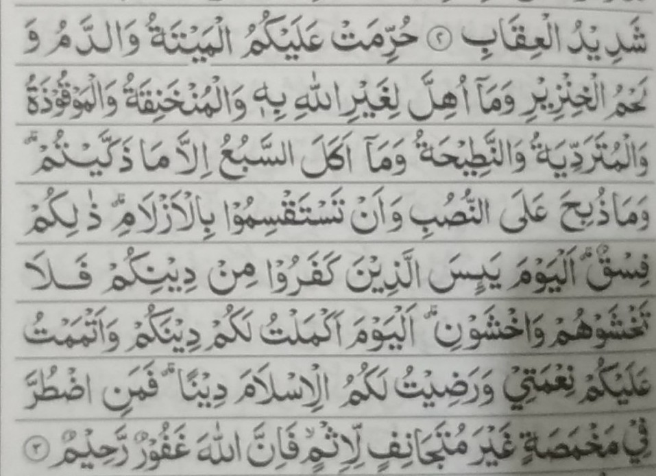 Detail Surat Al Maidah Ayat Ke 3 Nomer 16
