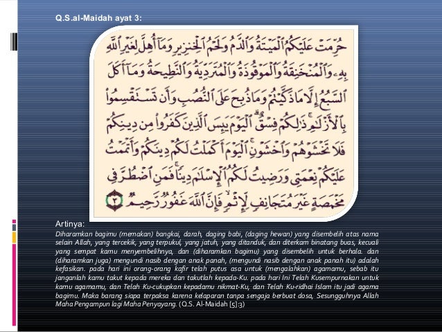 Detail Surat Al Maidah Ayat Ke 3 Nomer 40