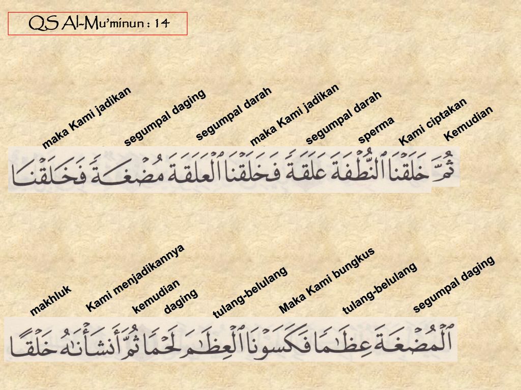 Detail Surat Al Mu Minun Ayat 12 14 Nomer 22