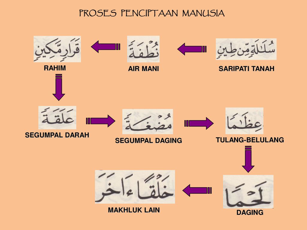 Detail Surat Al Mu Minun Ayat 12 14 Nomer 43