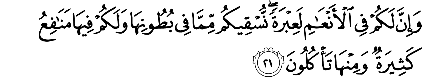 Detail Surat Al Mu Minun Ayat 12 14 Nomer 44