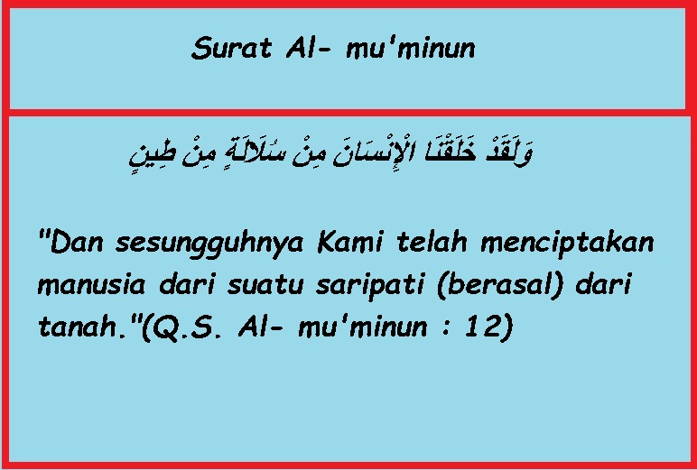 Download Surat Al Mu Minun Ayat 12 14 Nomer 7