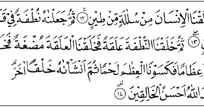 Detail Surat Al Mu Minun Ayat 13 Nomer 5