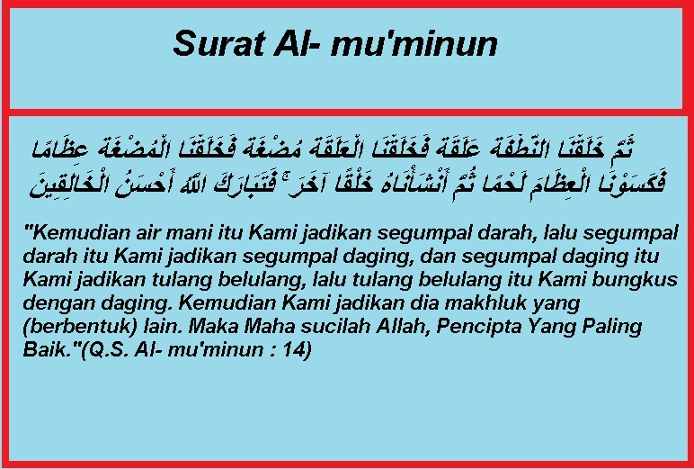 Detail Surat Al Mu Minun Ayat 13 Nomer 7