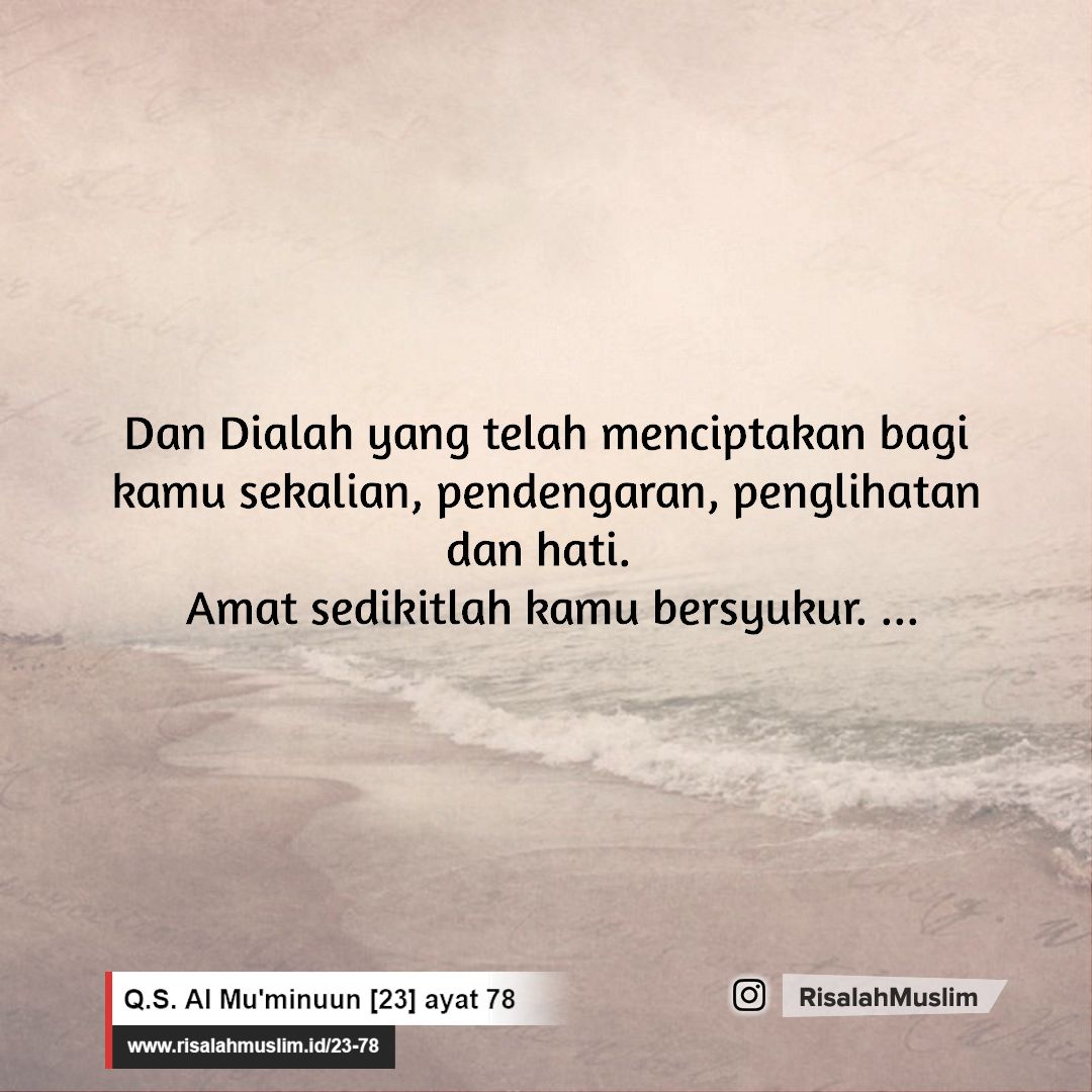 Detail Surat Al Mukmin Ayat 78 Nomer 11