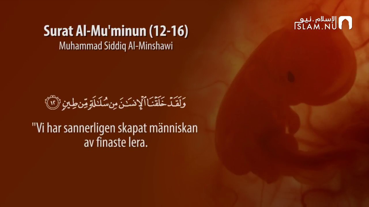 Detail Surat Al Mukminun 12 14 Nomer 26