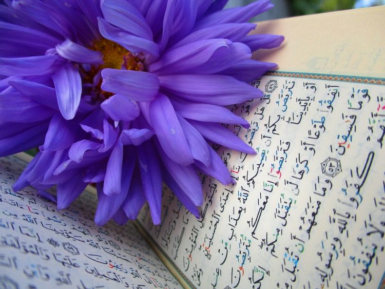 Detail Surat Al Mulk Ayat 1 Sampai Selesai Nomer 47