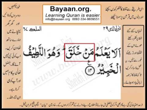 Detail Surat Al Mulk Ayat 14 Nomer 20