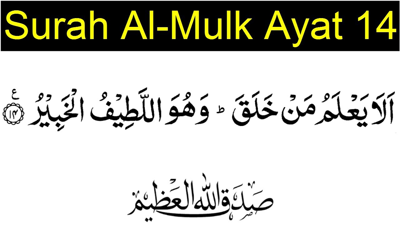 Detail Surat Al Mulk Ayat 14 Nomer 5