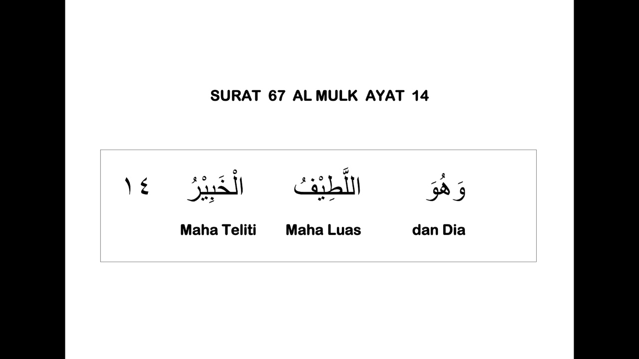 Detail Surat Al Mulk Ayat 14 Nomer 48