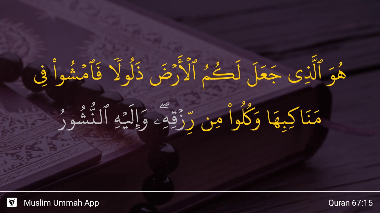 Surat Al Mulk Ayat 15 - KibrisPDR