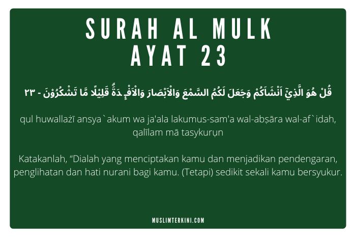 Detail Surat Al Mulk Ayat 23 Nomer 18