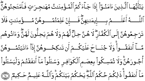 Detail Surat Al Mumtahanah Ayat 7 Nomer 19