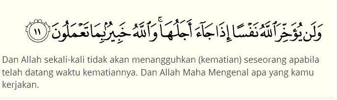 Detail Surat Al Munafiqun Ayat 1 Nomer 43